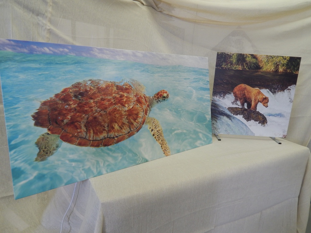 Printed Panel Infrared Heater Panel